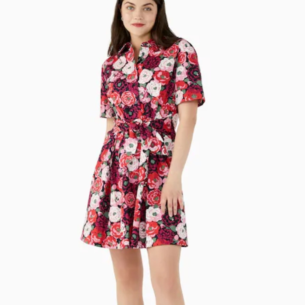 NWT Kate Spade Rosette Blooms Tie Waist Dress
